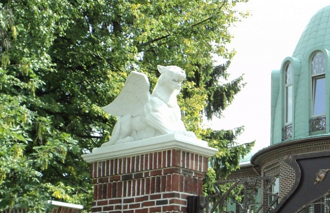Грифоны